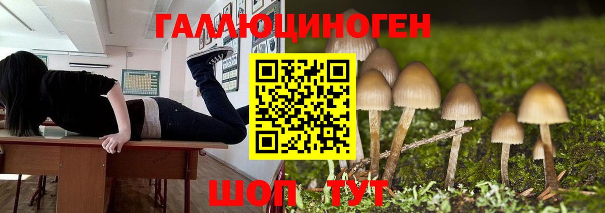 Псилоцибиновые грибы Magic Shrooms  Вход с VPN  Чебоксары 